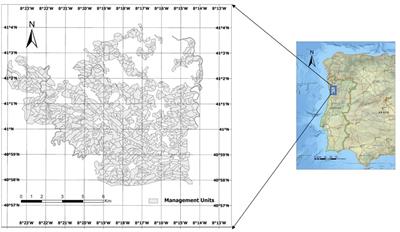 Assessment of tradeoffs between ecosystem services in large spatially constrained forest management planning problems